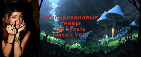 стаф Алзамай