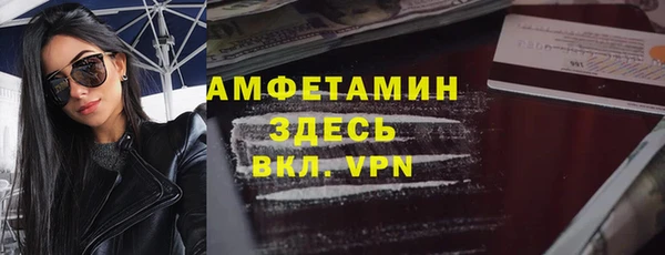 стаф Алзамай