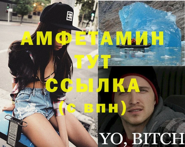 стаф Алзамай