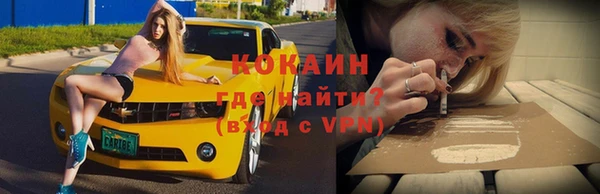 стаф Алзамай