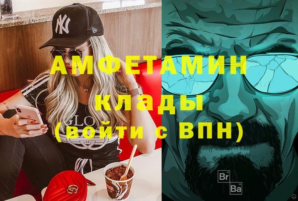 стаф Алзамай
